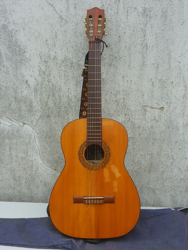 Vintage höfner acoustic - höfner,