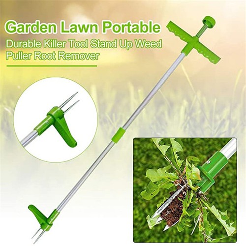 Weed puller weeder - weed,