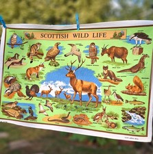 Unused souvenir vintage Glen Appin cotton Tea Towel - Scottish Wildlife/Animals