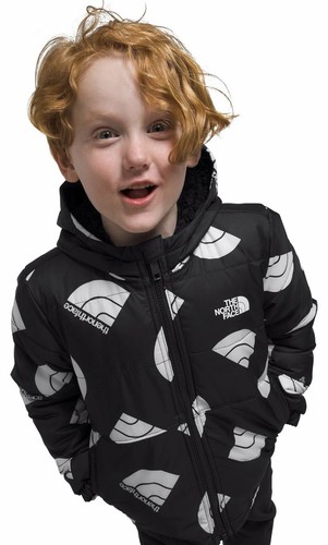Kids boys north face - north,
