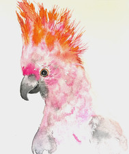 Cockatoo Painting Original