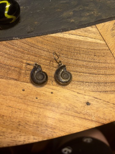Small ammonite fossil - small, earrings