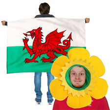 ST DAVIDS WELSH DAFFODIL HAT
