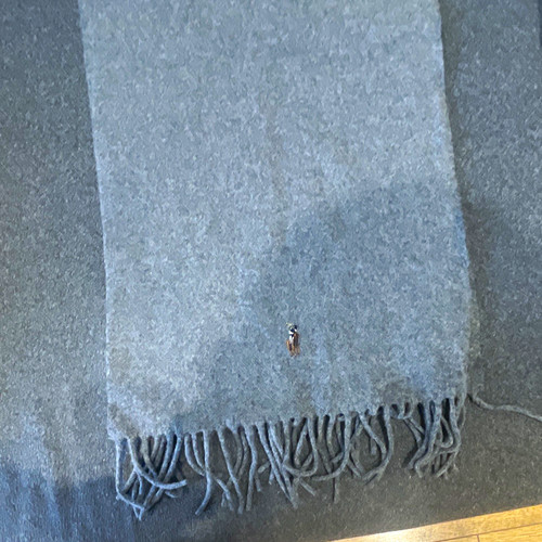 Polo ralph lauren grey wool - polo,