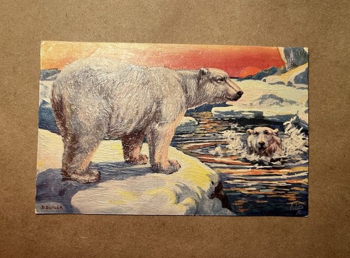 Wild animals oilette - animals,