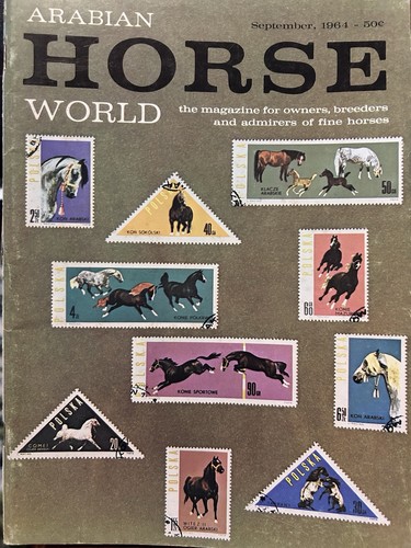 Arabian horse world september - horse,