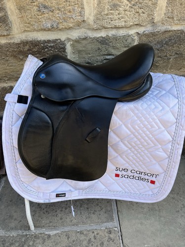 Black shires english - black,