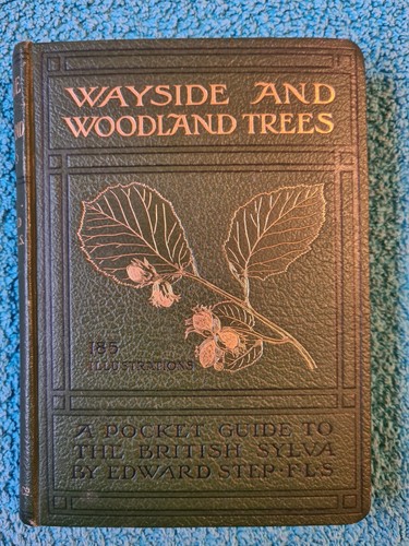 Wayside woodland trees - wayside,