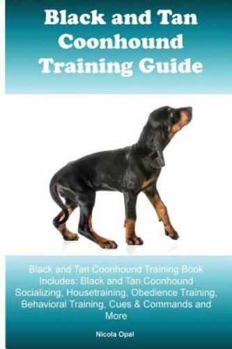 Black and tan - tan, coonhound