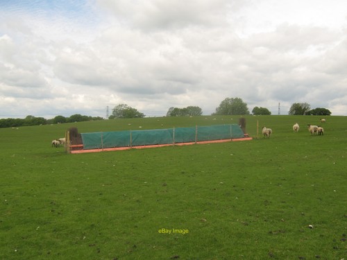 Photo 12x8 cross country horse - 12x8,