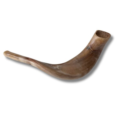 Kosher polished ram horn - polished,