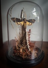 One Off Hand Made Victorian