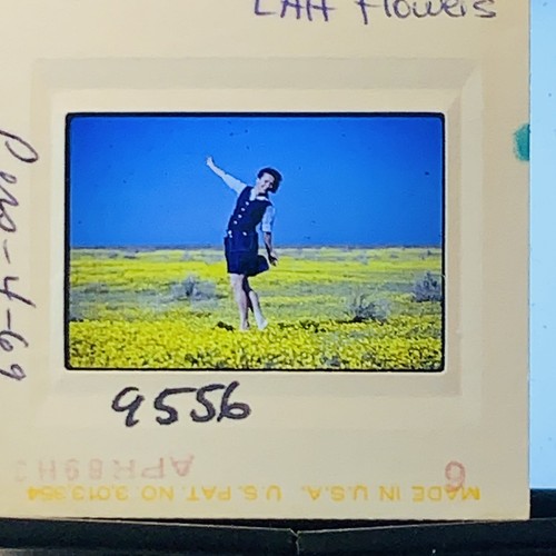 Vintage 1989 kodachrome 35mm - vintage,