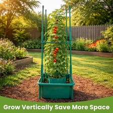 Garden Tomato Halos Plant Pot