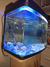 60L Fish Tank And Extras