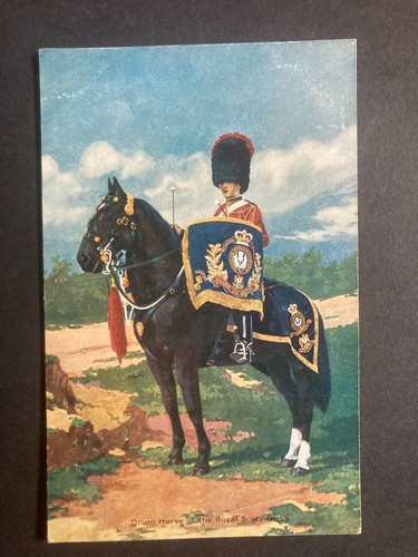 Drum horse the - a,