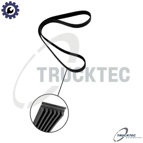 Vribbed belt 252 for - vribbed,