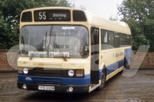 Bus Photo - Midland Bluebird