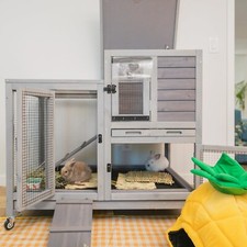 Indoor outdoor rabbit hutch - indoor/outdoor, w/