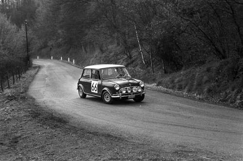 Vernaeve wood mini - mini, cooper