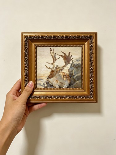 Resting spotted stag - resting,