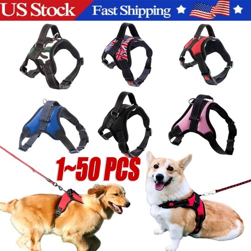 Pull dog pet harness - no,