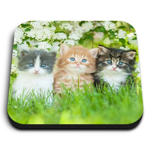 Square mdf magnets gorgeous - square,