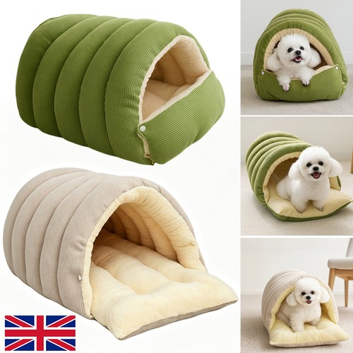 Pet cat warm soft house - pet,