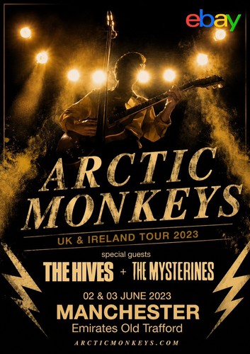 Arctic monkeys manchester - arctic,