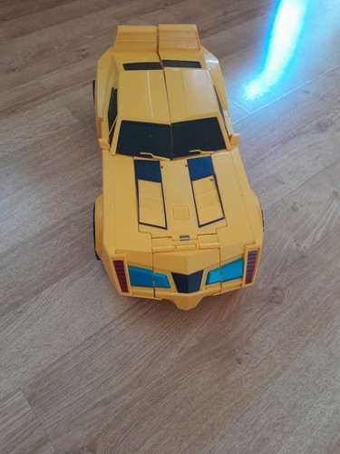 Large bumble bee - (pre,