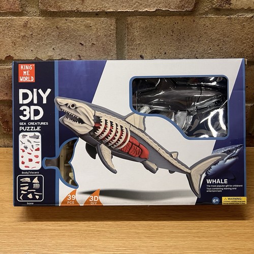 Diy shark animal anatomy - diy,
