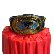 WWE Intercontinental