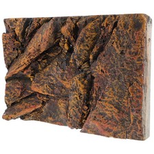  Terrarium Background Reptile