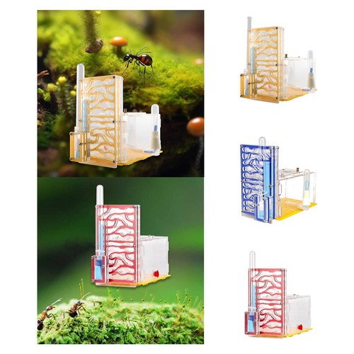 Ant housing nest habitat - ant,