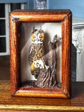 Dolls house miniature 1:12 ARTISAN taxidermy owl by ALEX CURTIS