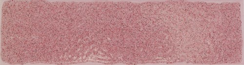 Dotted white pink moody wavy - white/pink,