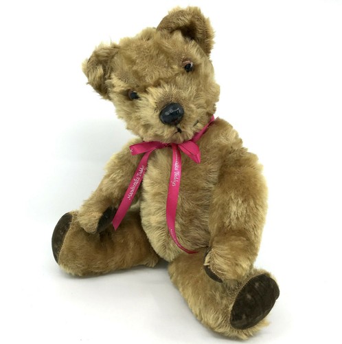 Pedigree teddy bear golden - pedigree,