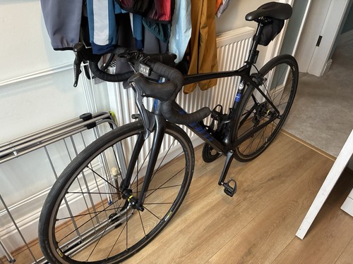 Small giant tcr rim - rim, 2022