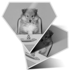 2 x Diamond Stickers 10 cm BW