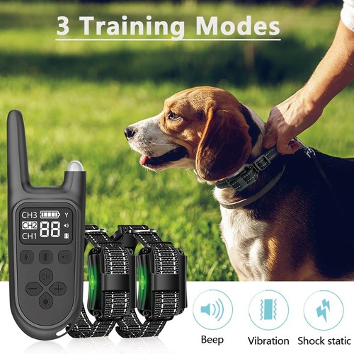 Electric shock dog training - shock,