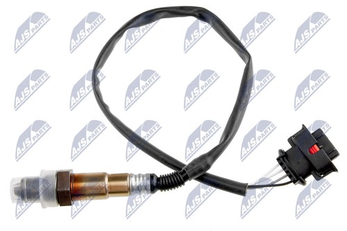 For nty esl 013 oxygen - for, esl-pl-013