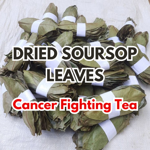 Dried soursop leaves - dried,