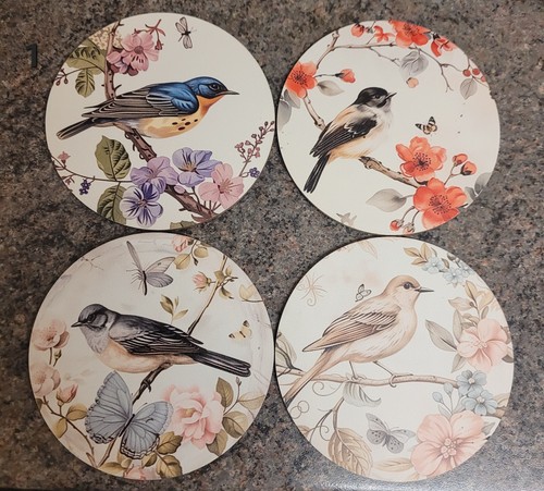 Set beautiful birds - of,
