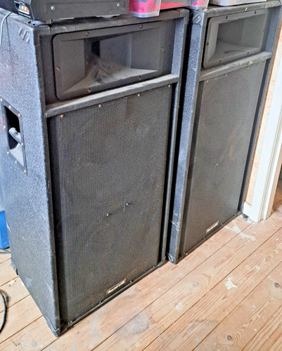Disco system loudspeaker - pa,