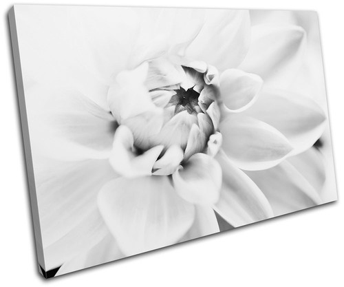 Flower contemporary floral - flower,