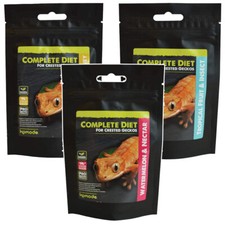 Komodo Crested Gecko Complete