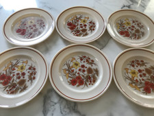 Vintage Pyrex Harvest Spray Salad Plate x 6 - 23.5cm - 1970s Pyrex