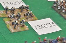 15mm napoleonic / french -