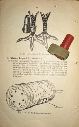 Ww2 sas soe secret message - sas,
