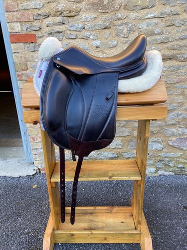 Voltaire adelaide dressage - voltaire,